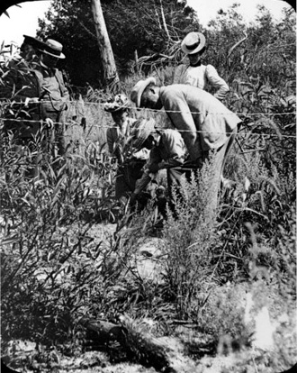 Une excursion de la Ottawa Field Naturalists' Club à Sand Banks, Co. Prince Edward. Photo H.M. Ami.